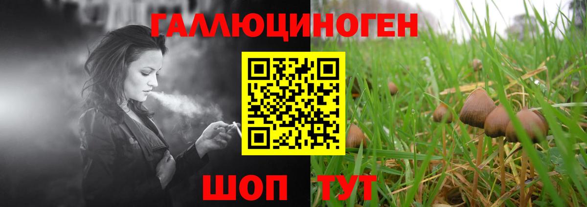 Галлюциногенные грибы Magic Shrooms  Вход с VPN  Арзамас  Галлюциногенные грибы MAGIC MUSHROOMS 